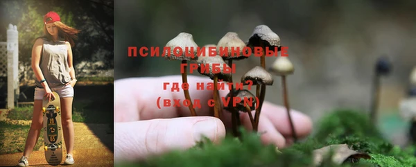 соль ск Мегион