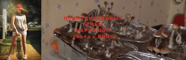 стафф Медвежьегорск
