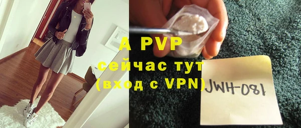 стафф Медвежьегорск