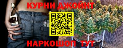 гидра Гагарин