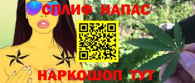 гидра Гагарин