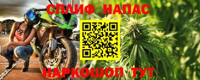 гидра Гагарин