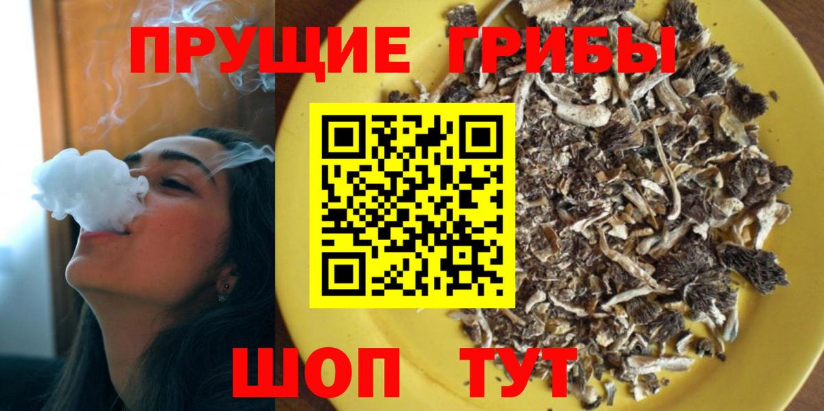 Псилоцибиновые грибы Psilocybine cubensis  Камышин 