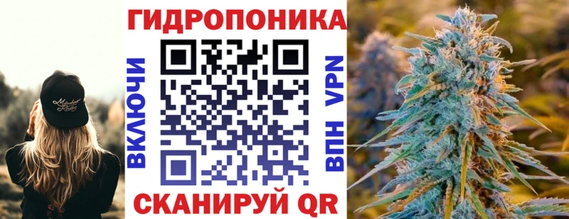 Марихуана VHQ  купить наркотики цена  Камышин 